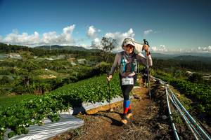 BIB: 
                            <button type="button" onclick="openModal(19124753)" class="btn btn-primary btn-sm float-right btn-popup" data-toggle="modal" data-target=".modal-high-quality">
                        <i class="fas fa-shopping-cart"></i> Add to Cart
                    </button>
                                            <button type="button" onclick="isThisMe(19124753, true)" class="btn btn-success btn-sm float-right btn-popup btn-isme hidden" data-toggle="tooltip" data-placement="bottom" title="นี่คือรูปของคุณใช่ไหม คลิกที่นี่เพื่อเอาเข้าอัลบั้ม">
                        <i class="fas fa-plus"></i> Add to album
                    </button>
                    <button type="button" onclick="isThisMe(19124753, false)" class="btn btn-warning btn-sm float-right btn-popup btn-isnotme hidden">
                        <i class="fas fa-ban"></i> Remove from album
                    </button>